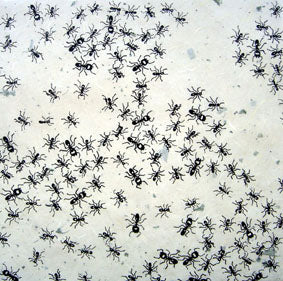 Milled Mulberry Paper - Ants