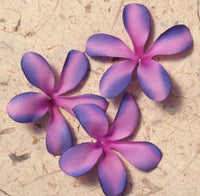 7cm Purple and Pink Frangipani