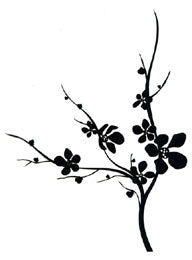 Silhouettes - Magnolia Branch