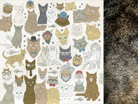 Pawfect - Cats