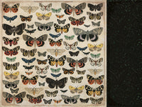 Anthology - Entomology