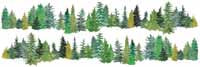 Horizons Border Stickers - Evergreen Trees