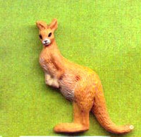 Kangaroo