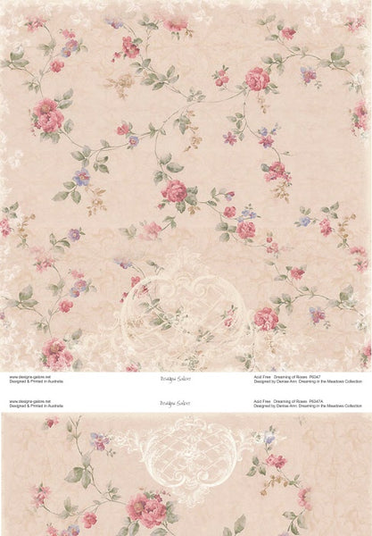 Dreaming in Rose