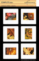 Slide Stickers - Fall