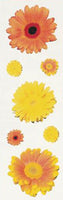 Yellow Daisies